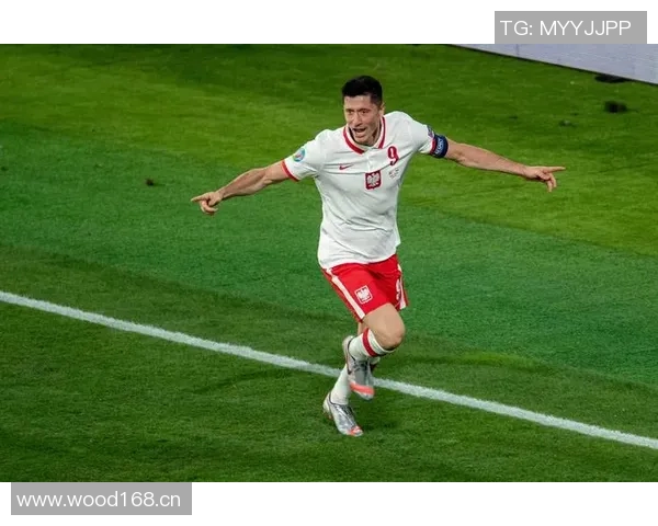 欧洲世预赛机会创造统计厄德高领衔托纳利丁丁紧随其后