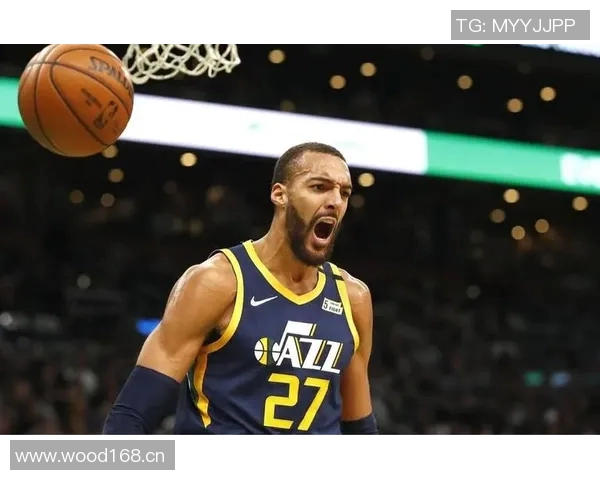 戈贝尔：团队合作是我争夺第五座最佳防守球员奖的关键心态