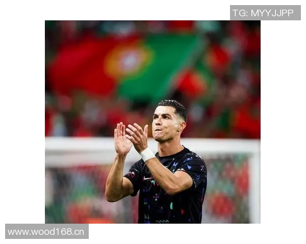 葡萄牙主帅强调C罗门德斯内托的重要性不需计算器算分 葡萄牙主帅强调C罗门德斯内托的重要性不需计算器算分