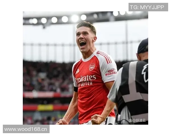 范迪克谈维尔茨外界关注过度新援实力毋庸置疑值得信赖