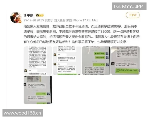 被戴琳拖欠救命钱球迷离世姑姑控诉辱骂事件引发社会关注与愤怒