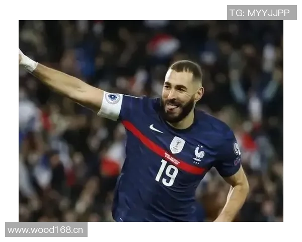 本泽马2022世界杯离队内幕曝光队医或对伤病情况隐瞒真相