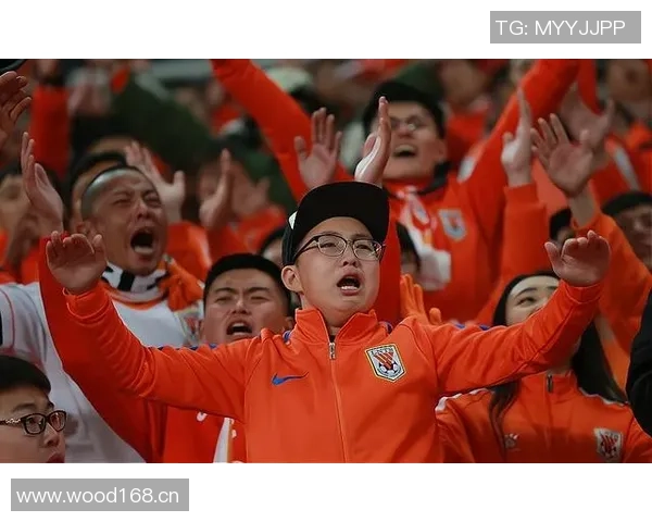 武汉三镇主场迎战泰山省内高校学生享受特惠票价仅需15元 武汉三镇主场迎战泰山省内高校学生享受特惠票价仅需15元