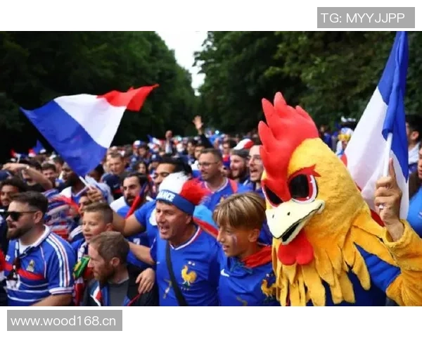 世界杯决赛门票暴涨十倍法国球迷观赛成本激增难以承受 世界杯决赛门票暴涨十倍法国球迷观赛成本激增难以承受