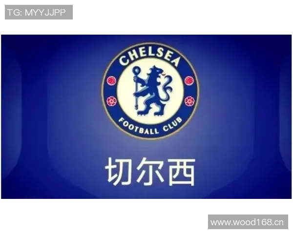 切尔西青训培养人才成就辉煌转会费总额突破九亿大关